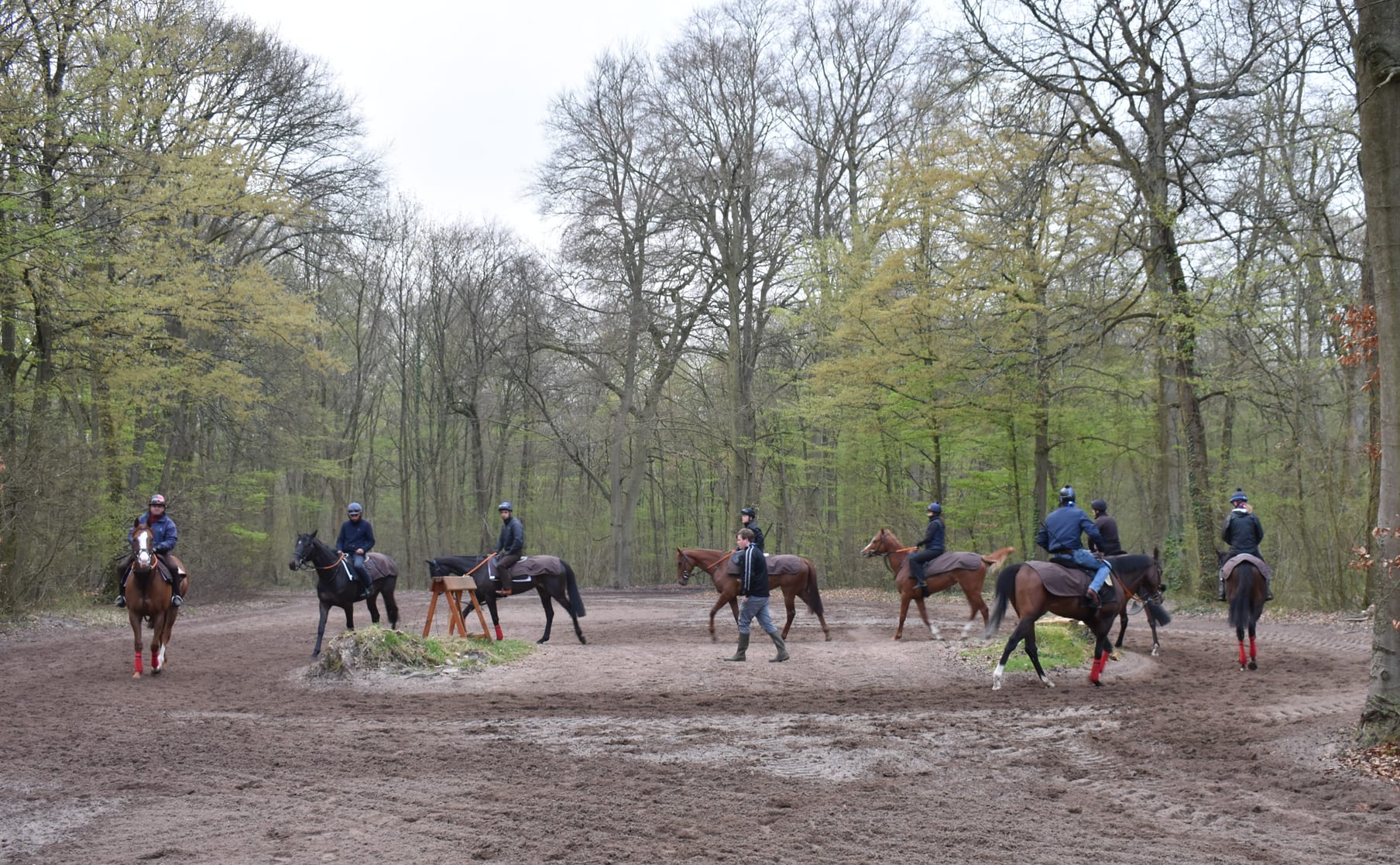 Horses and riders at work on the circular dirt track in the Chantilly forest