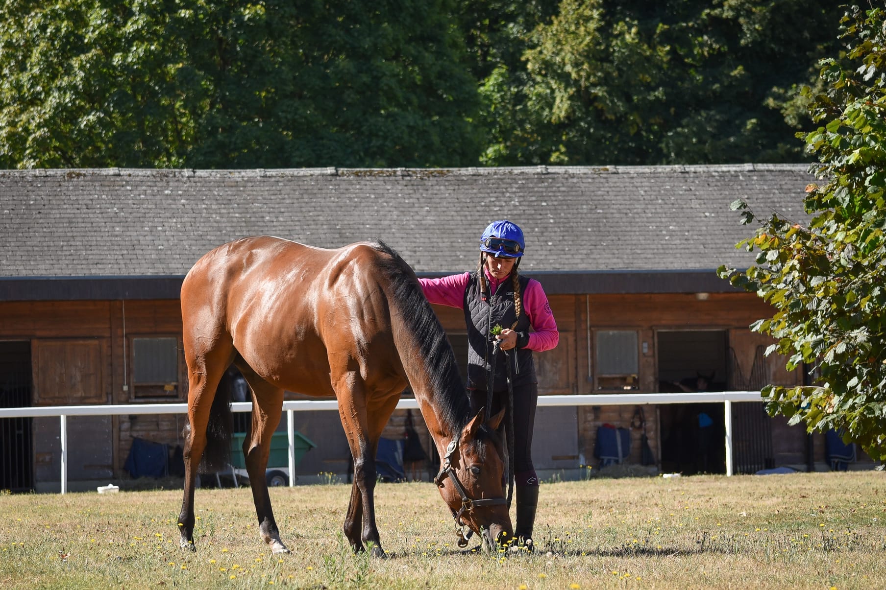 The training grounds at Les Aigles, Chantilly