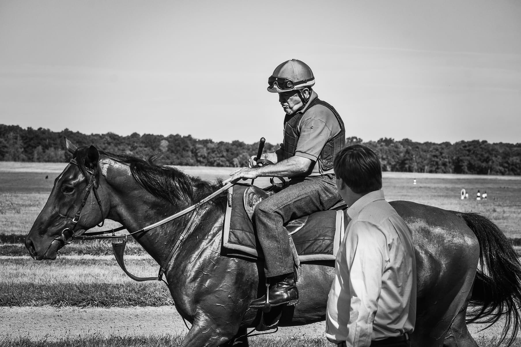 Horses at exercise on the Chantilly gallops