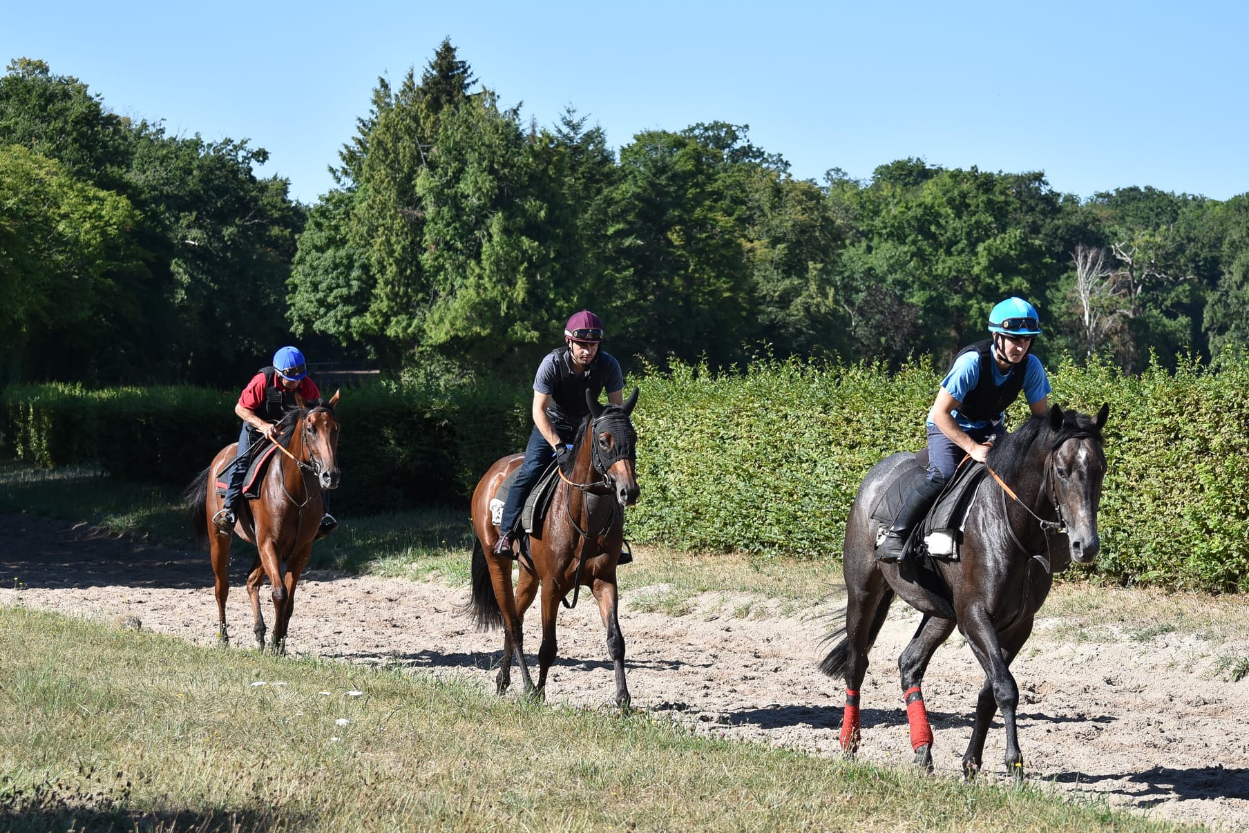 The string at work on a sand gallop
