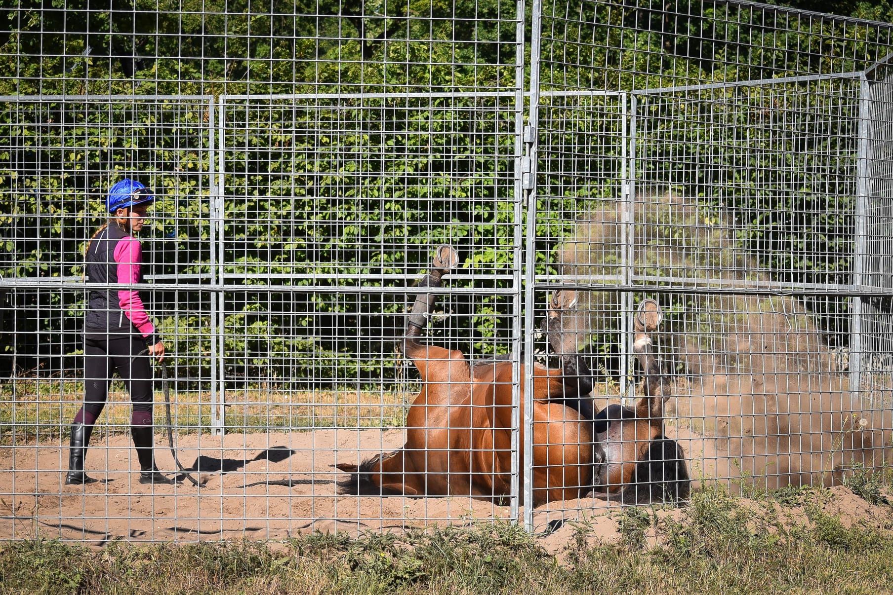 Horses and riders on the Chantilly tracks