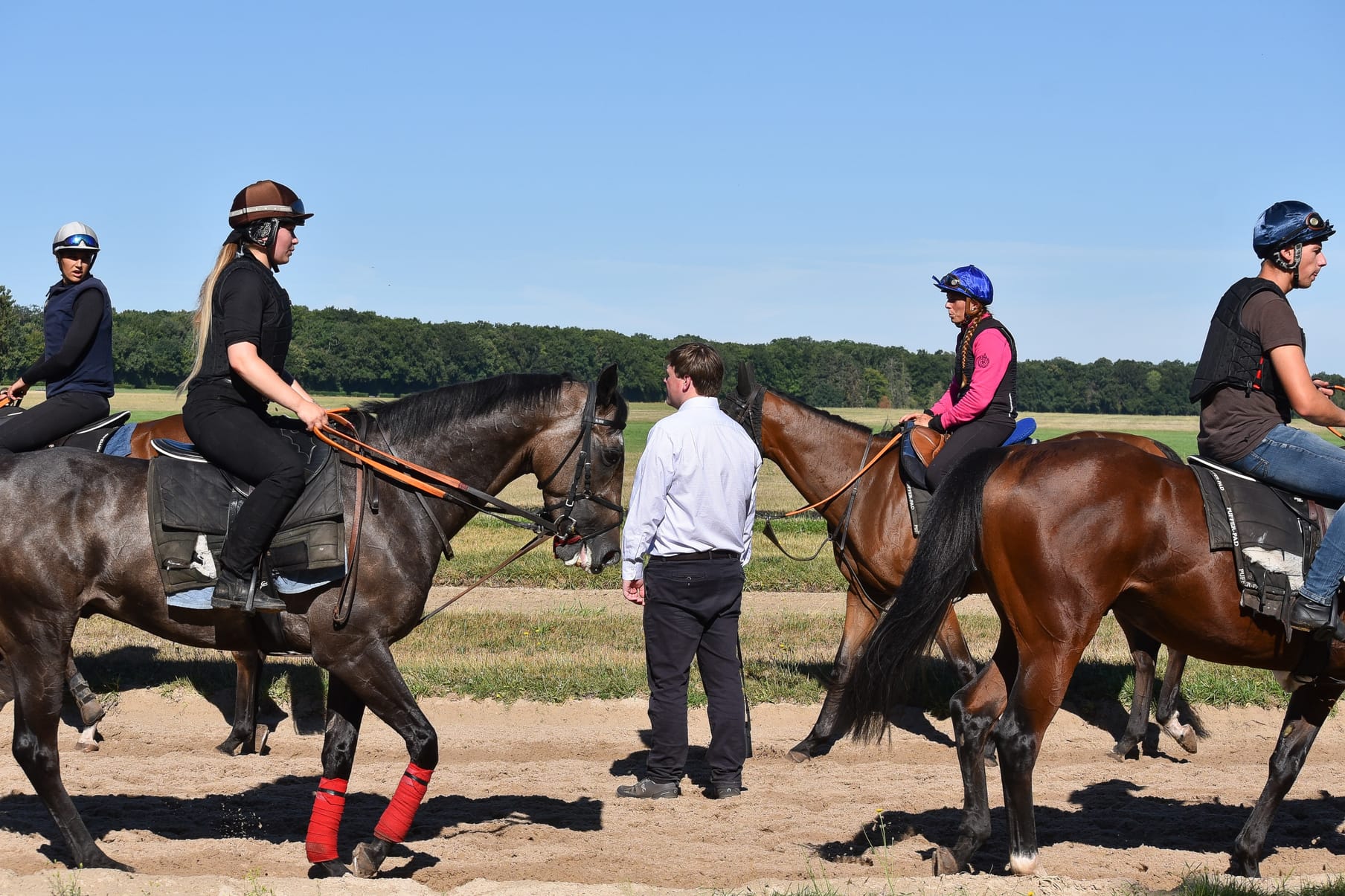 Work on the forest gallops