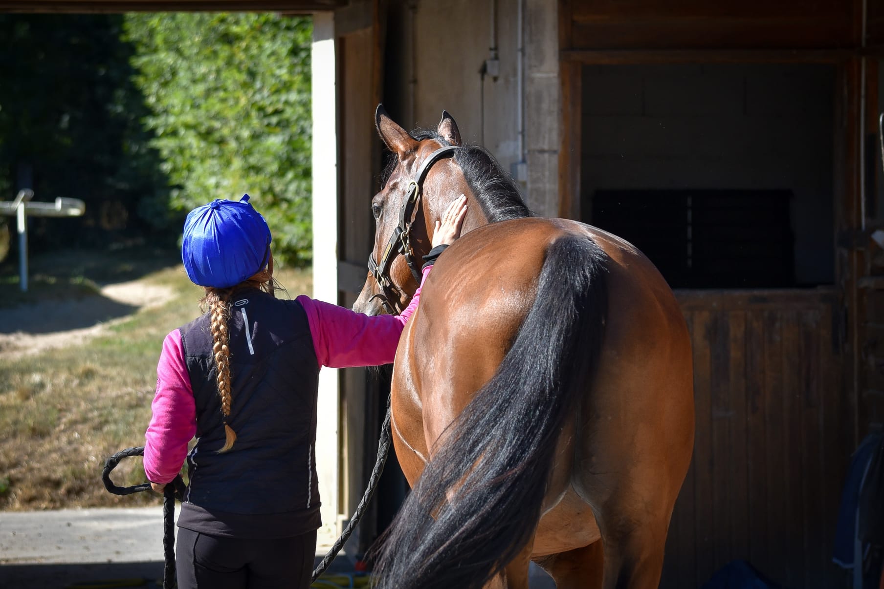 The yard at exercise in Chantilly