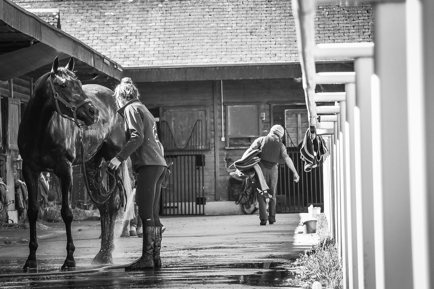 A horse and rider at Les Aigles