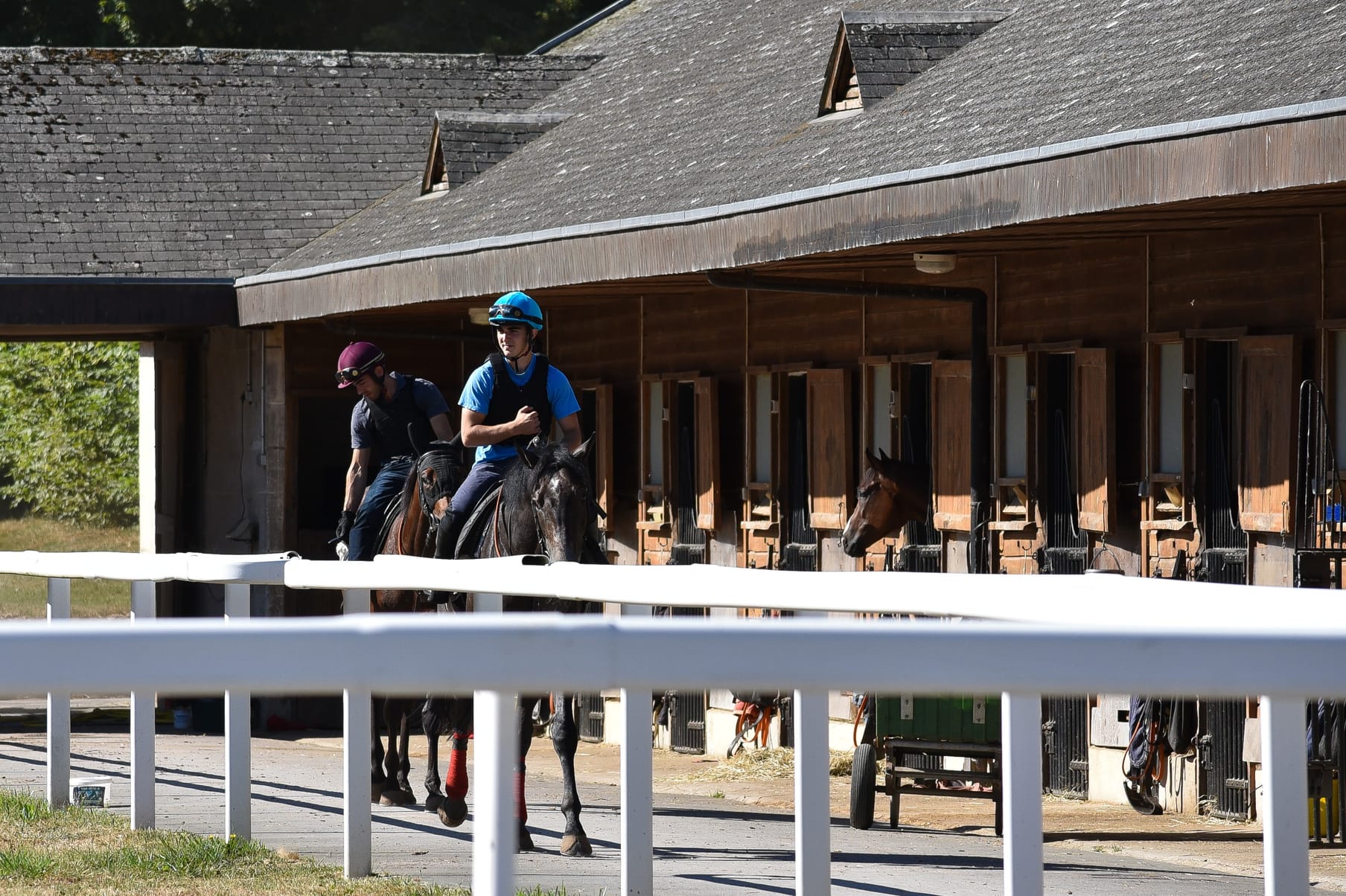 Training on the sand gallops
